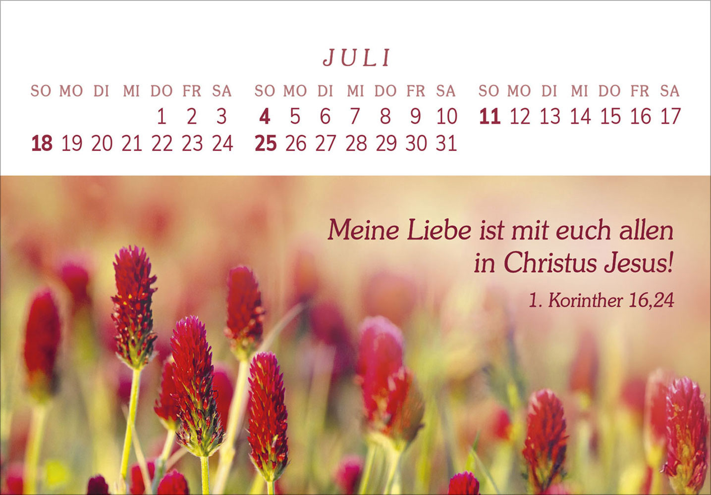 Das Geschenk der Freude 2027