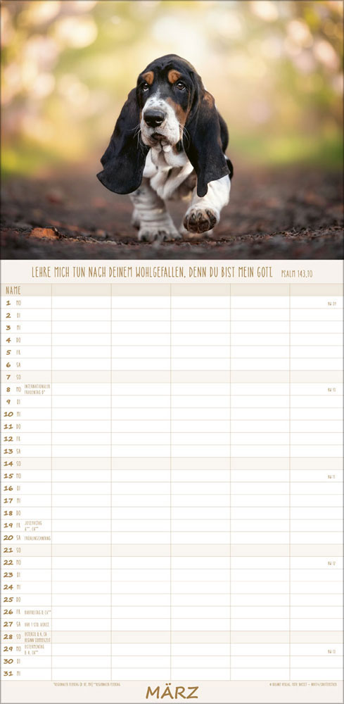 Familienplaner Hunde - 2027