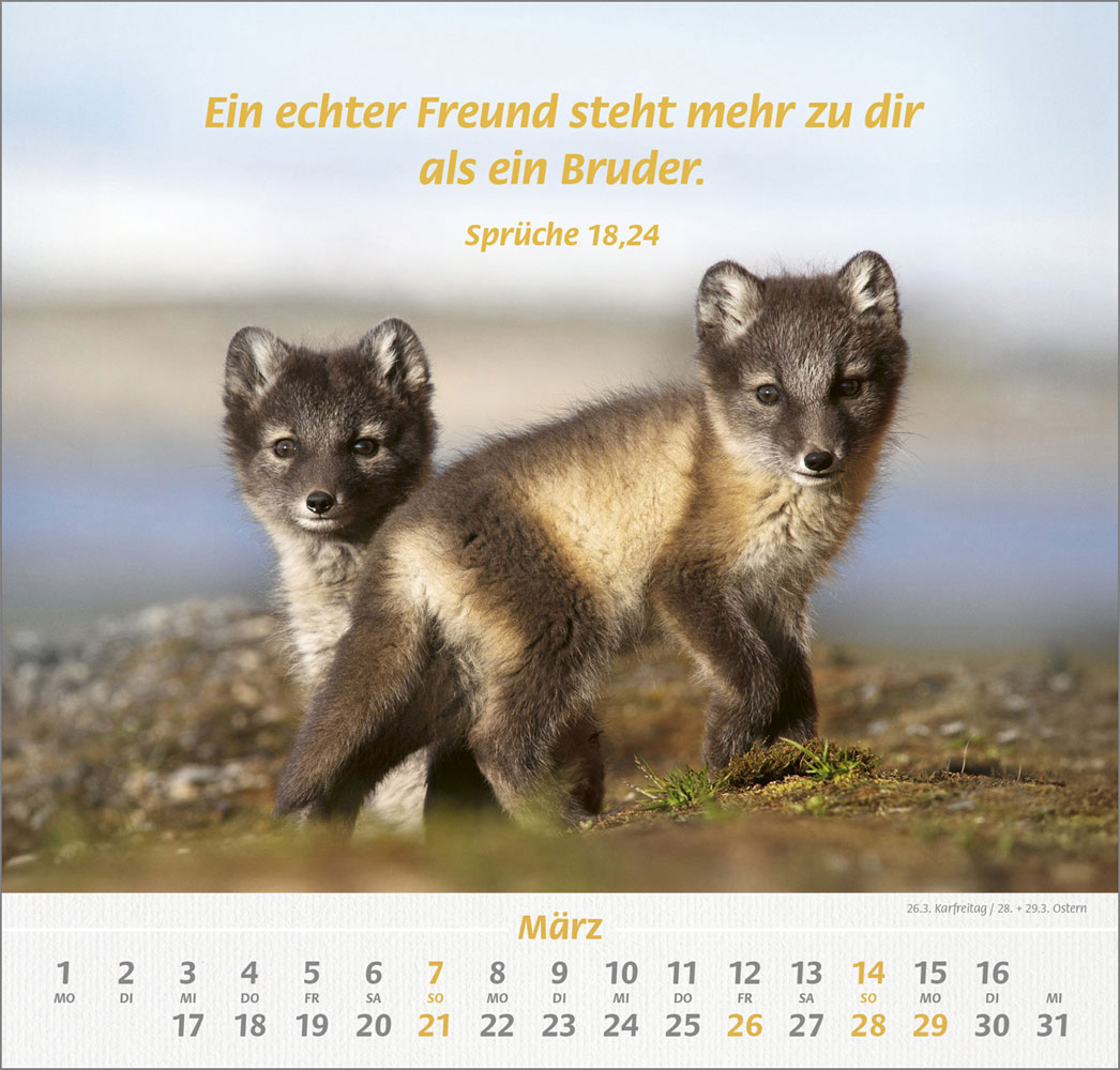 Ich hab dich gern 2027 - Wandkalender