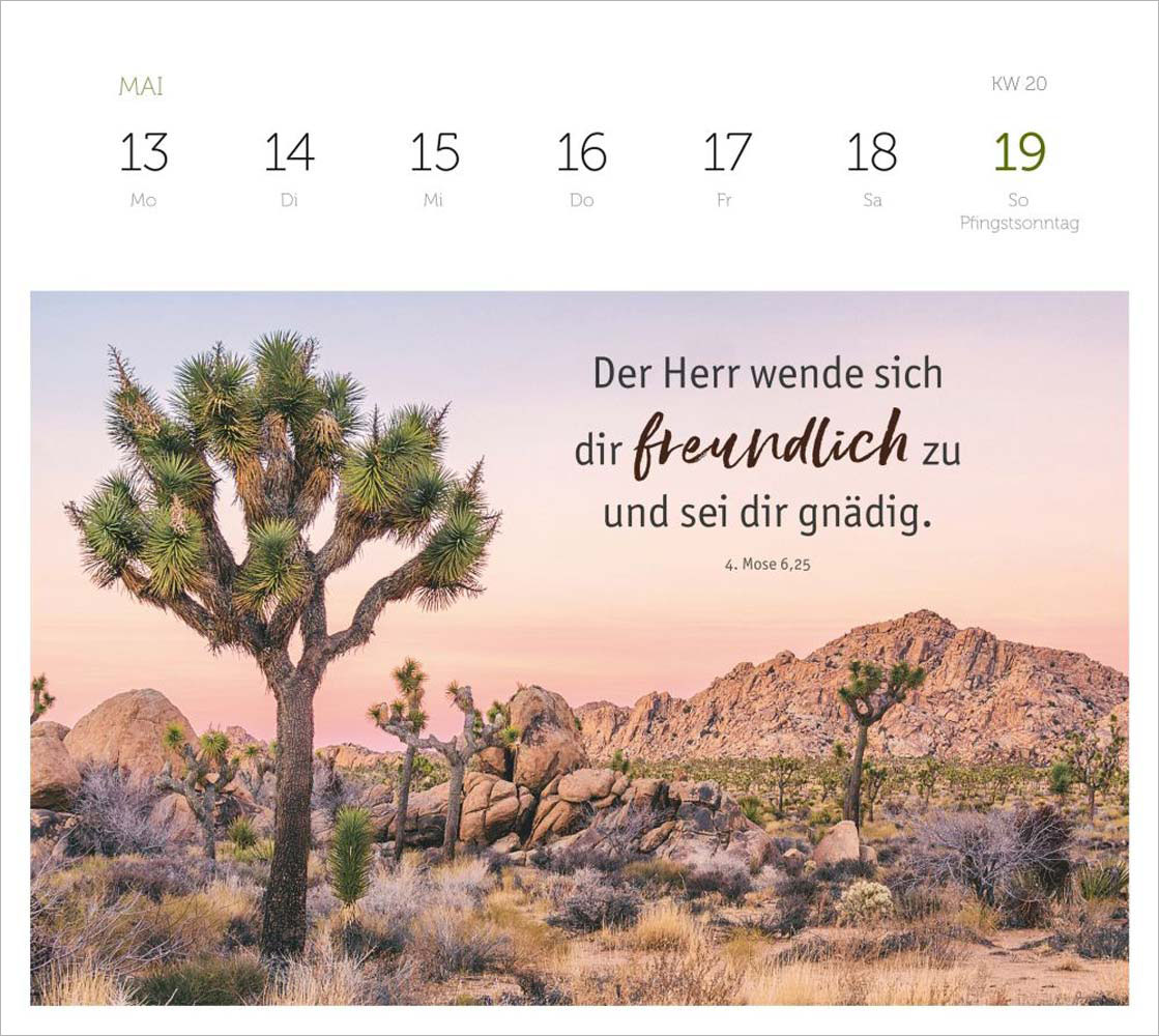 Grüne Wunder - blaue Weiten 2024 - Wochenplaner Grüne Wunder - blaue Weiten 2024 - Wochenplaner