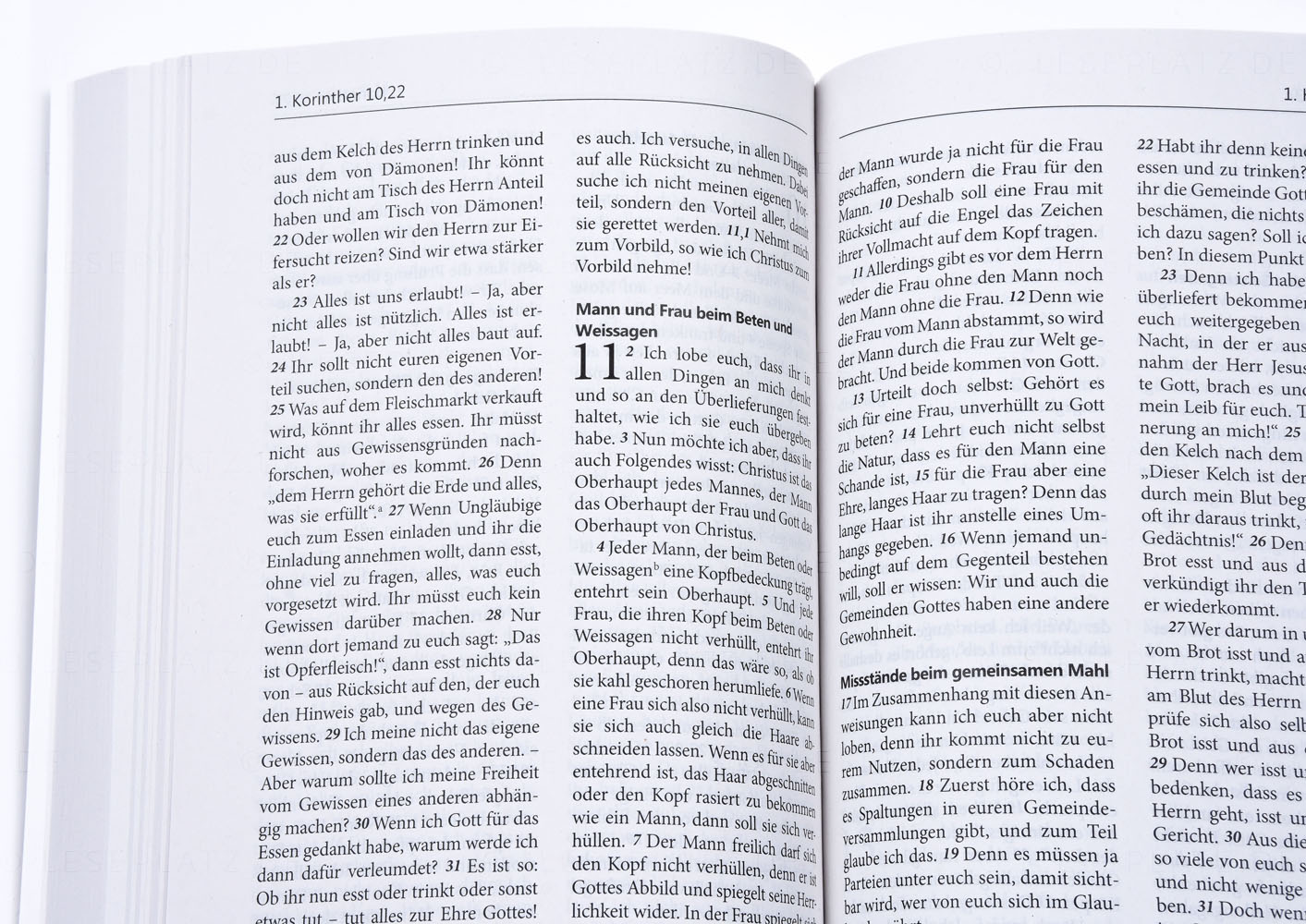 NeÜ - Neues Testament mit Psalmen "Torbogen"