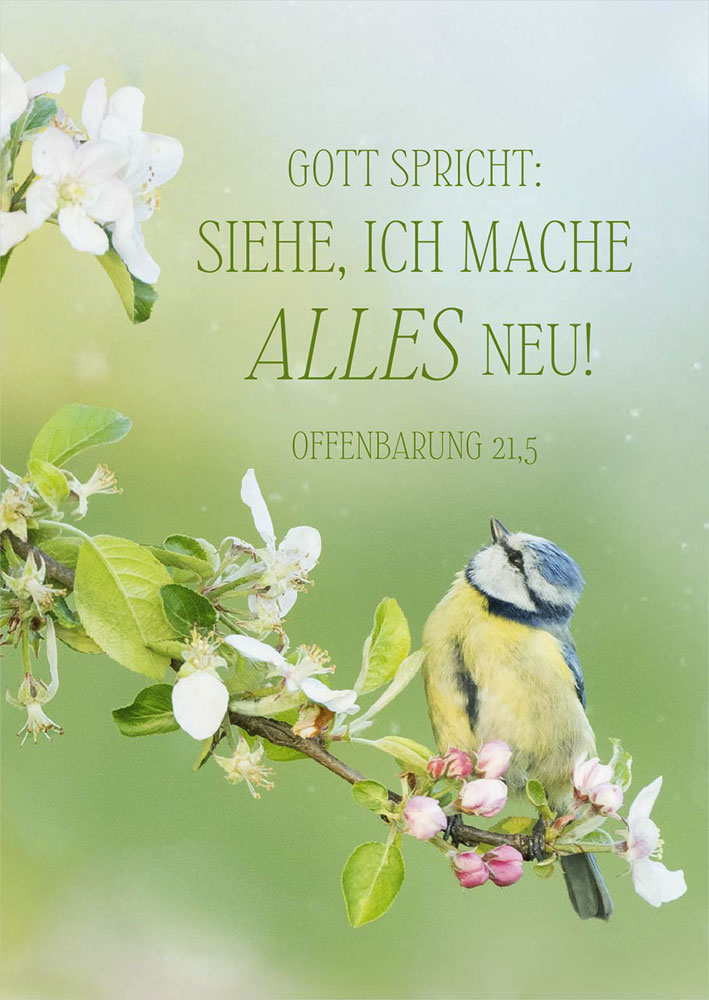 Postkarte "Jahreslosung 2026" (Vogel)