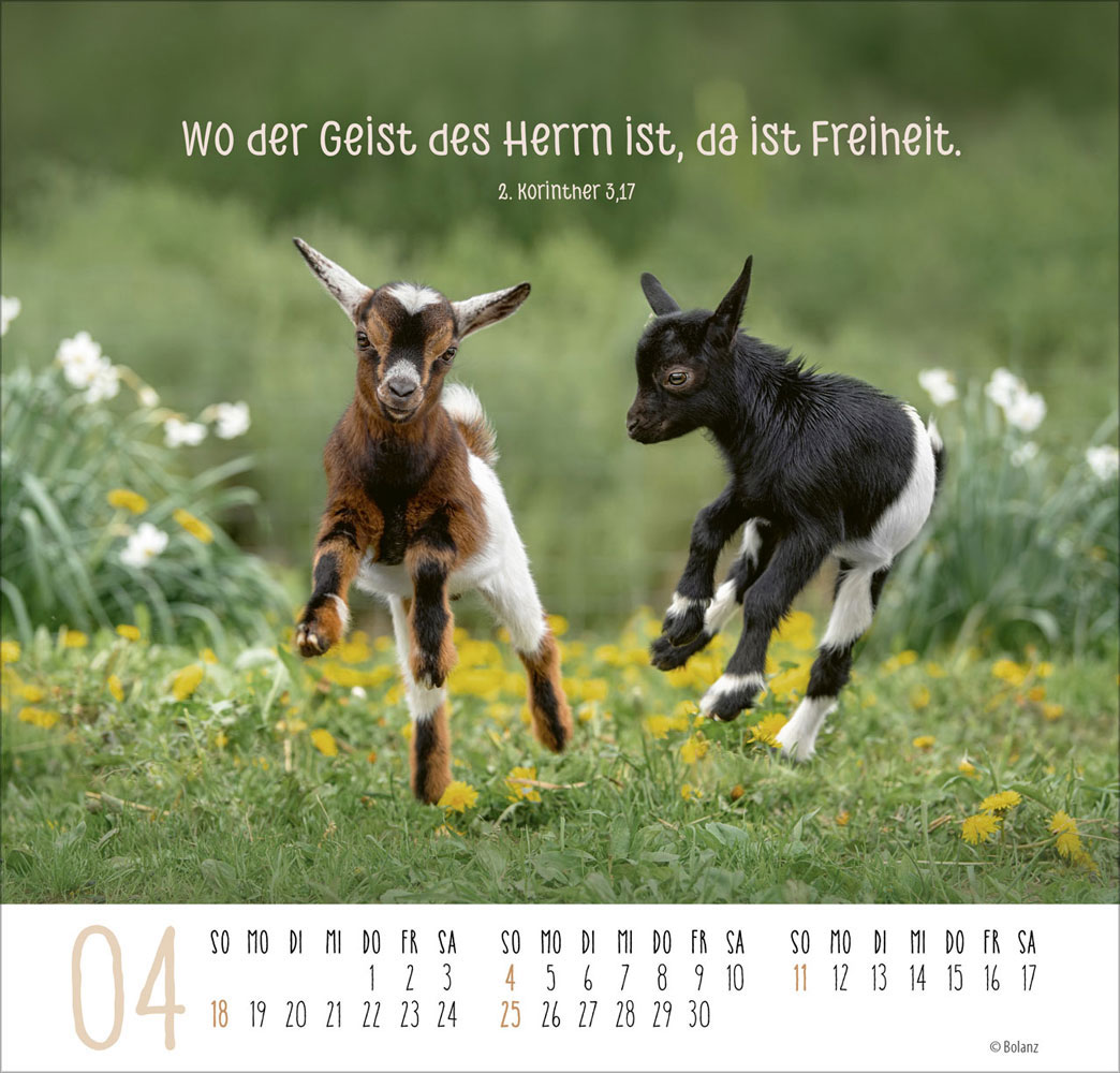 Beste Freunde - Ich mag dich  2027 - Posterkalender