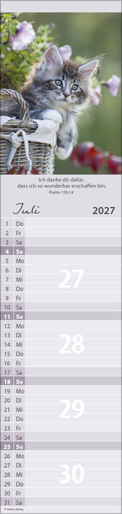 Für Euch 2027 - Streifenterminer