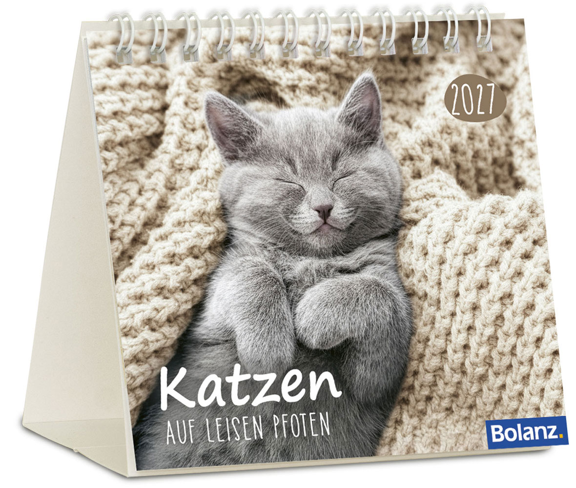 Katzen 2027 - Minikalender