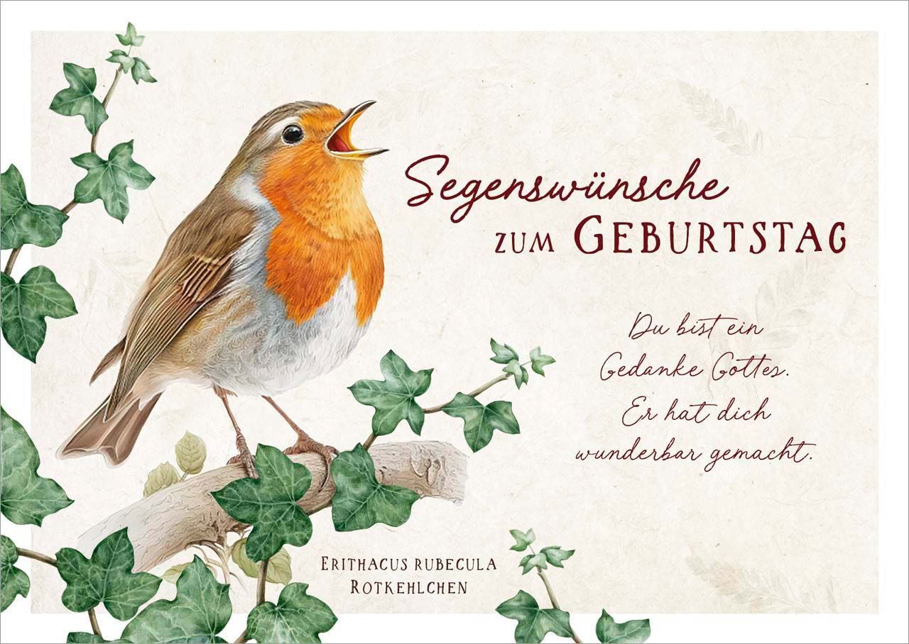 Second Ave Weihnachtskarte Für Enkelsohn Mit Rotkehlchen-Motiv – 210 X 148 Mm, 350 G/m² Leinenkarton, Inkl. Umschlag
